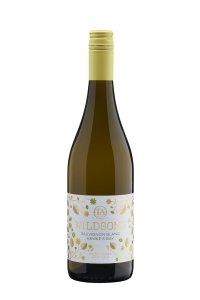 Wildsong Hawke's Bay Sauvignon Blanc 2022 - 750 ML
