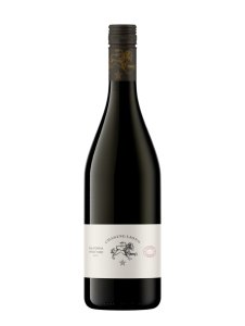 Chasing Lions Pinot Noir 2022 - 750 ML